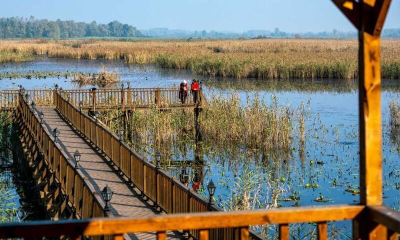 Güzeldere Şelale'si - Efteni Göl'ü - Topuk Yaylası                                                                