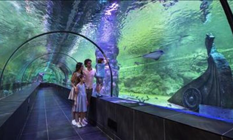 VİASEA AKVARYUM & ASLAN PARK