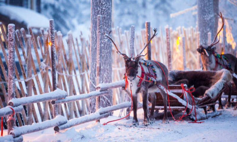 Kuzey Işıkları Helsinki- Lapland Turu