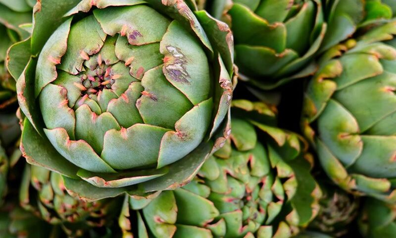 ALAÇATI OT FESTİVALİ TURU