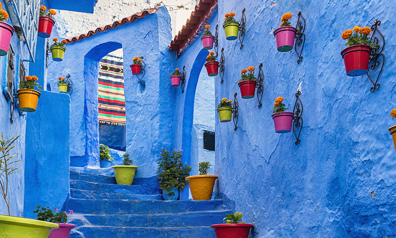 FAS'IN KALBİNE YOLCULUK